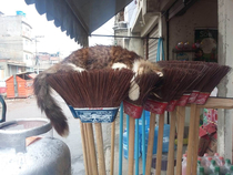 My girlfriends cat sleeping on top of the brooms in her families shop
