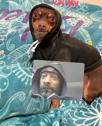 My girlfriends Snoop Doggy dog