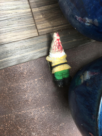 My gnome looks like it was shot in the back of the head