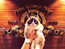 My good friend works at MGM Grumpy Cat paid a visit today