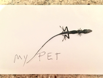 My grandma cant have pets in her care home but she found this lizard burnt to a crisp behind her radiator and she has it proudly taped to her fridge