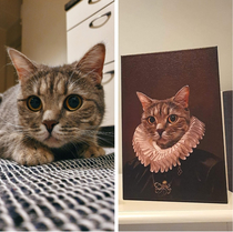 My grandma just texted me a portrait she got of her cat