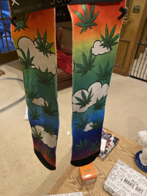 My grandmother bought these thinking they were palm trees