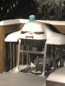 My grill sums up my feelings on the snow I live in Wisconsin