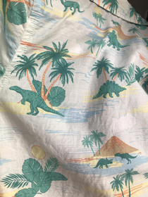 My Hawaiian shirt have dinosaurs
