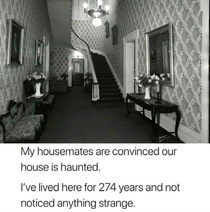 My housemates are convinced our house is haunted
