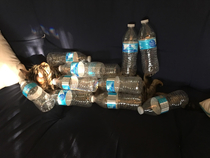 My husband and I play Jenga on our cat when he sleeps So far weve made it to  bottles