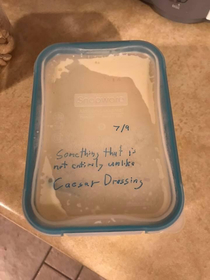 My husband has opinions about our try at vegan food Found this in the fridge one day