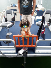 My husband made a pirate deck on the boat for our dog