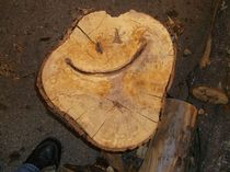 My Husband says his wood is forever alone