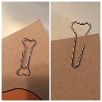 My husband works at an animal hospital and they just ordered these new paperclips
