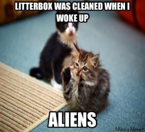 My initial response to seeing the Aliens cat