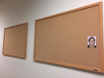 My job put up poster boards so we could put up cutefun office pictures I got to it first
