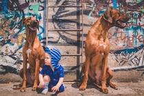 My kid and dogs might be about to drop the hottest rap album of the year