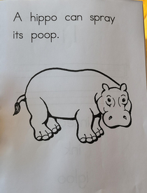 My kids kindergarten homework