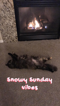 My kitty loves the fireplace