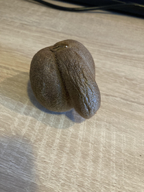 My kiwi wants to tell me something