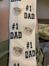 My late Fathers Day gift arrived Coolest socks ever