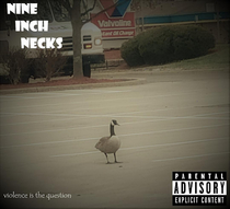 my latest hobby is making album covers of photos of geese