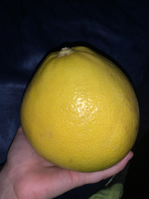 My lemon is bigger than your lemon