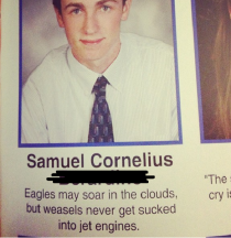 My little brothers senior quote Solid choice