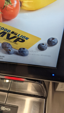 My local Food Lion is running bootlegged Windows