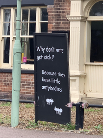 My local pub has banter probably explains why ants dont get Covid