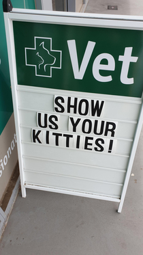 My local vet got a little creative