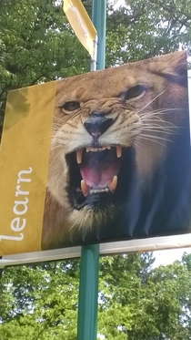 My local zoo really knows how to whip kids into shape