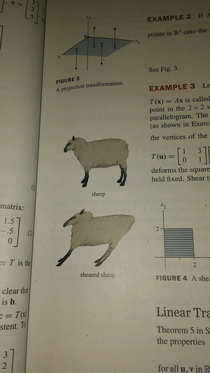 My math book tries to be funny