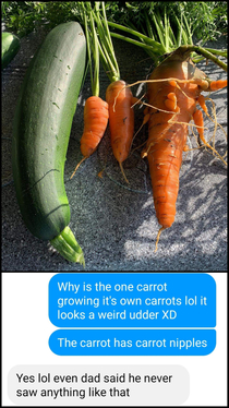 My mom apparently grew a Mutant carrot