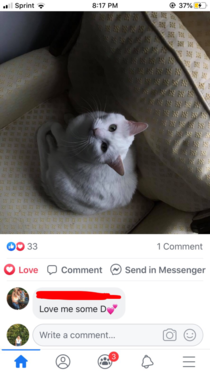 My mom commenting about my sisters cat named Dharma