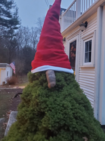 My mom decorated bushes with trolls