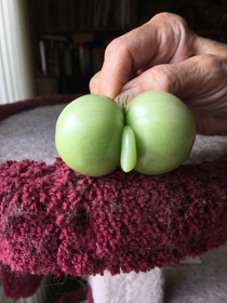 My mom found a naughty tomato in her harvest and asked me not to put it on social media so heres the naughty tomato