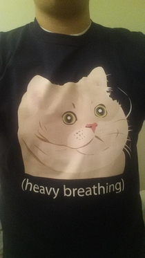 My mom got me this shirt for my birthday thanks mom