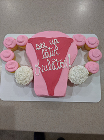 My mom had a hysterectomy last week and her sister a cake decorator brought this over today