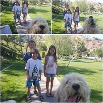 My mom just wanted to take a picture of my little cousin and his new friends and my dog kept photobombing