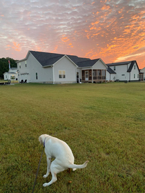 My mom sent me a picture of the sunrise yesterday the dog wanted to be in the picture