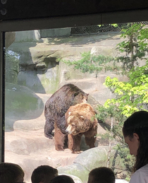 My mom took her students to the zoo today