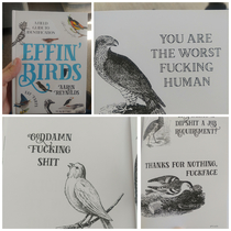 My mom was gifted a book about what birds are probably really saying and Im allot more self conscious at the park now Author Aaron Reynolds