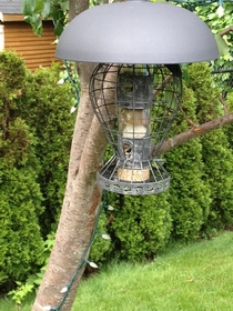 My mothers Squirrel-proof bird feeder
