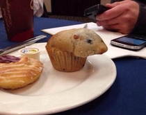 My muffin is a hamster your argument is invalid