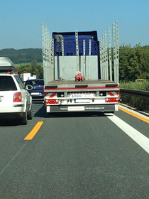 My mum spotted this heavy transport on the German Autobahn today