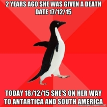 My mum was predicted to be dead a few days ago back in  Today shes on her way to Antarctica without travel insurance loaded up with secondary cancers and like  months to live because fuck it why not