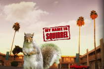 My Name is Squirrel