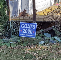 My neighbor has a sense of humor