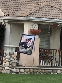 My neighbor has flags for everything this one takes the cake