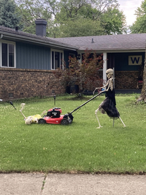 My neighbors are boning up on their yard work