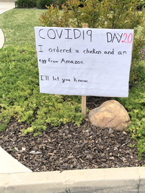 My neighbors been posting daily dad jokes on his lawn since the lockdown started in LA Heres 