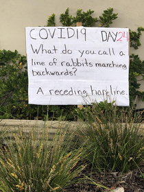 My neighbors front lawn dad joke 